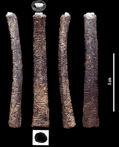 The Ishango bone. Based upon an image from the Roy